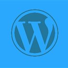 تشخیص سایت وردپرس