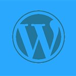 تشخیص سایت وردپرس