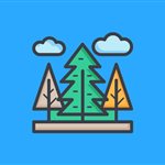 محتوای همیشه سبز چیست